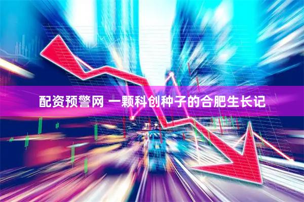 配资预警网 一颗科创种子的合肥生长记
